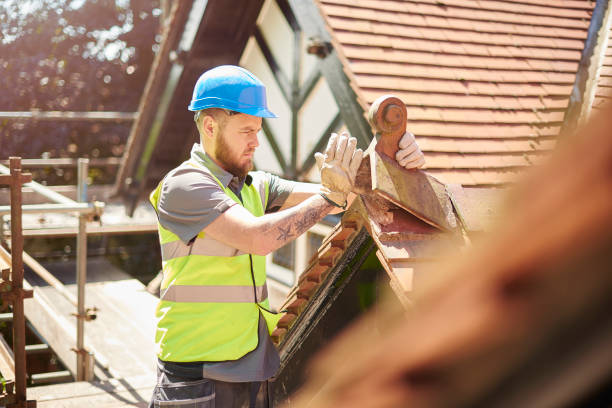Best Roof Gutter Cleaning  in Bergenfield, NJ